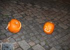 IMG 3491