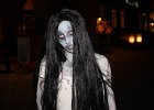 IMG 3511