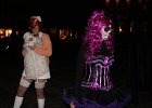 IMG 3542