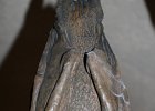 IMG 3551