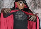 IMG 3747