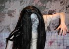 IMG 3758