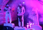 IMG 3875