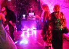 IMG 3918